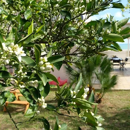 Appartamento La Casa Di Lillo *